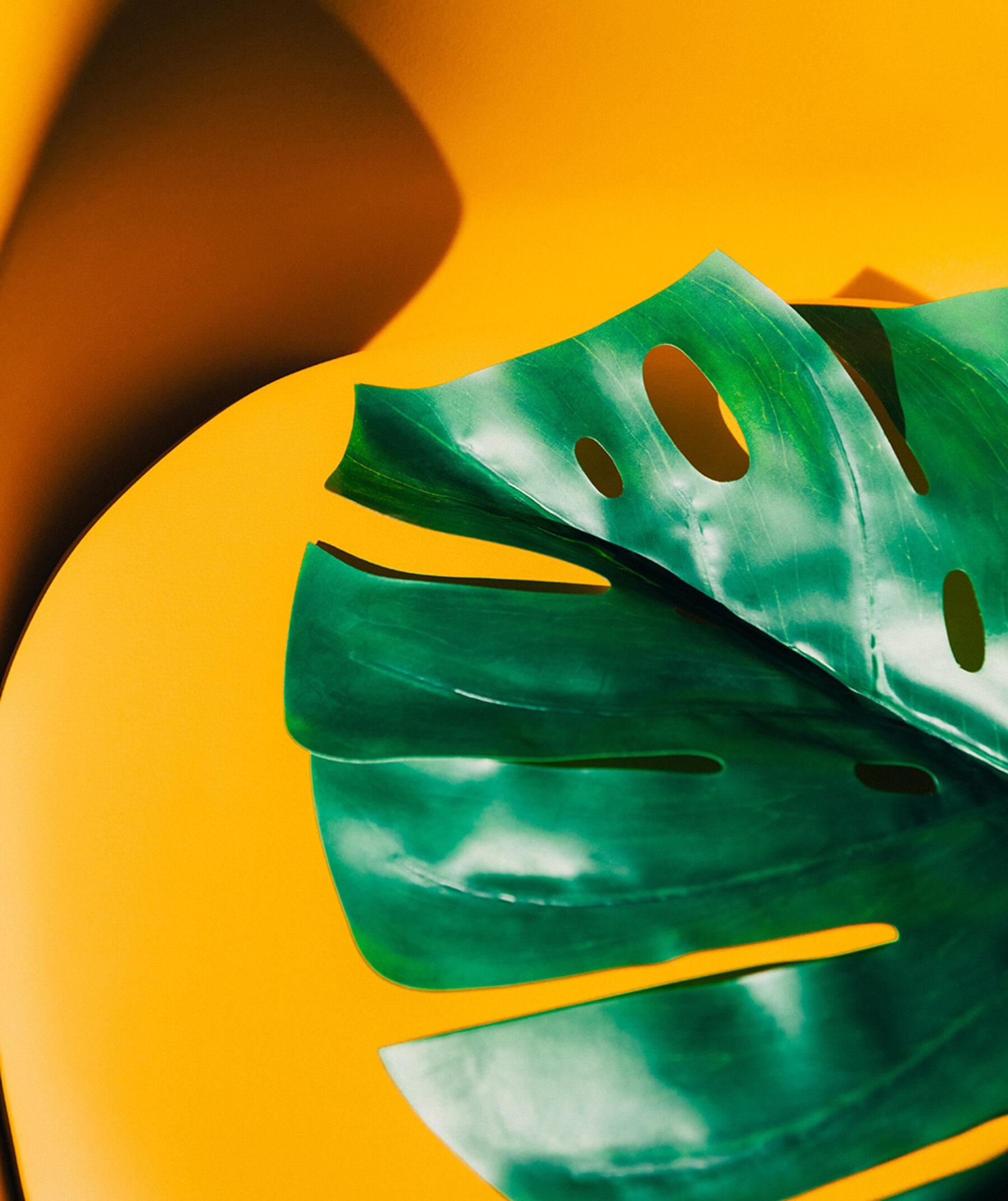 big green leaf on yellow background